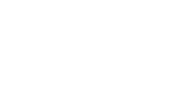 لوگوی جانبی باریش